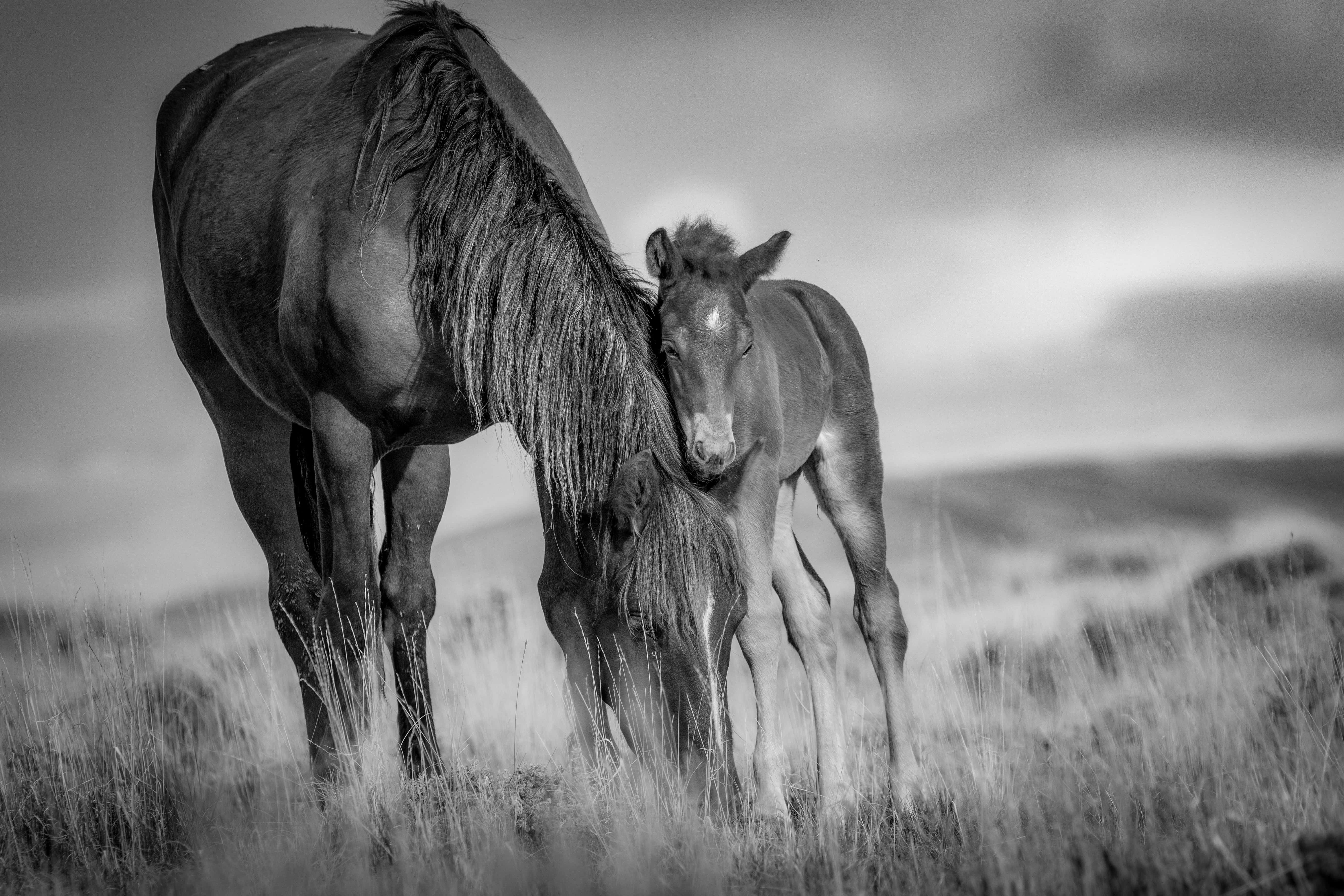 Hochzeitsreportage einer Traung im Schlosshotel, Standesamtliche Trauung