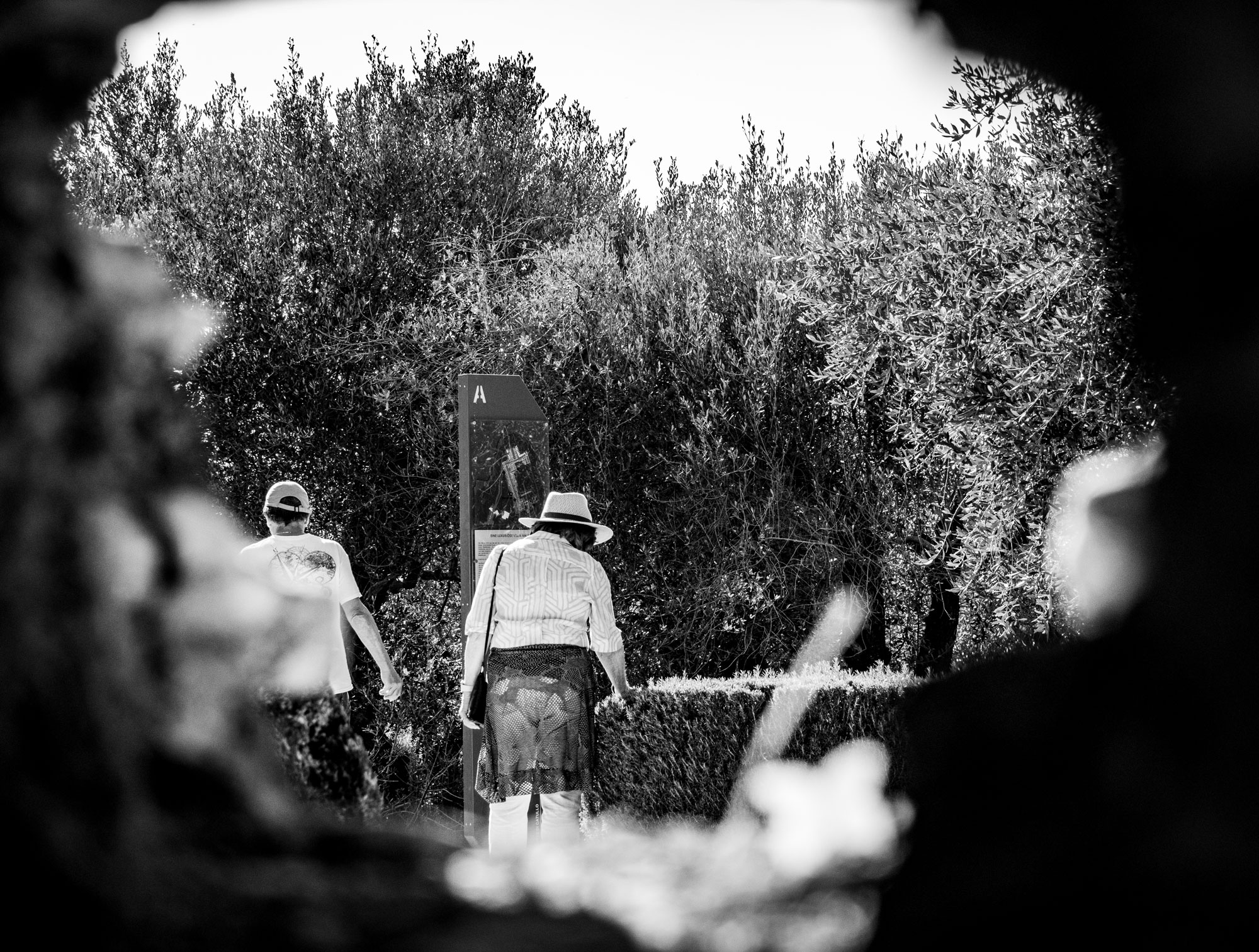 Frauen gehen auf einer ruhigen Straße im Park, umgeben von Bäumen.